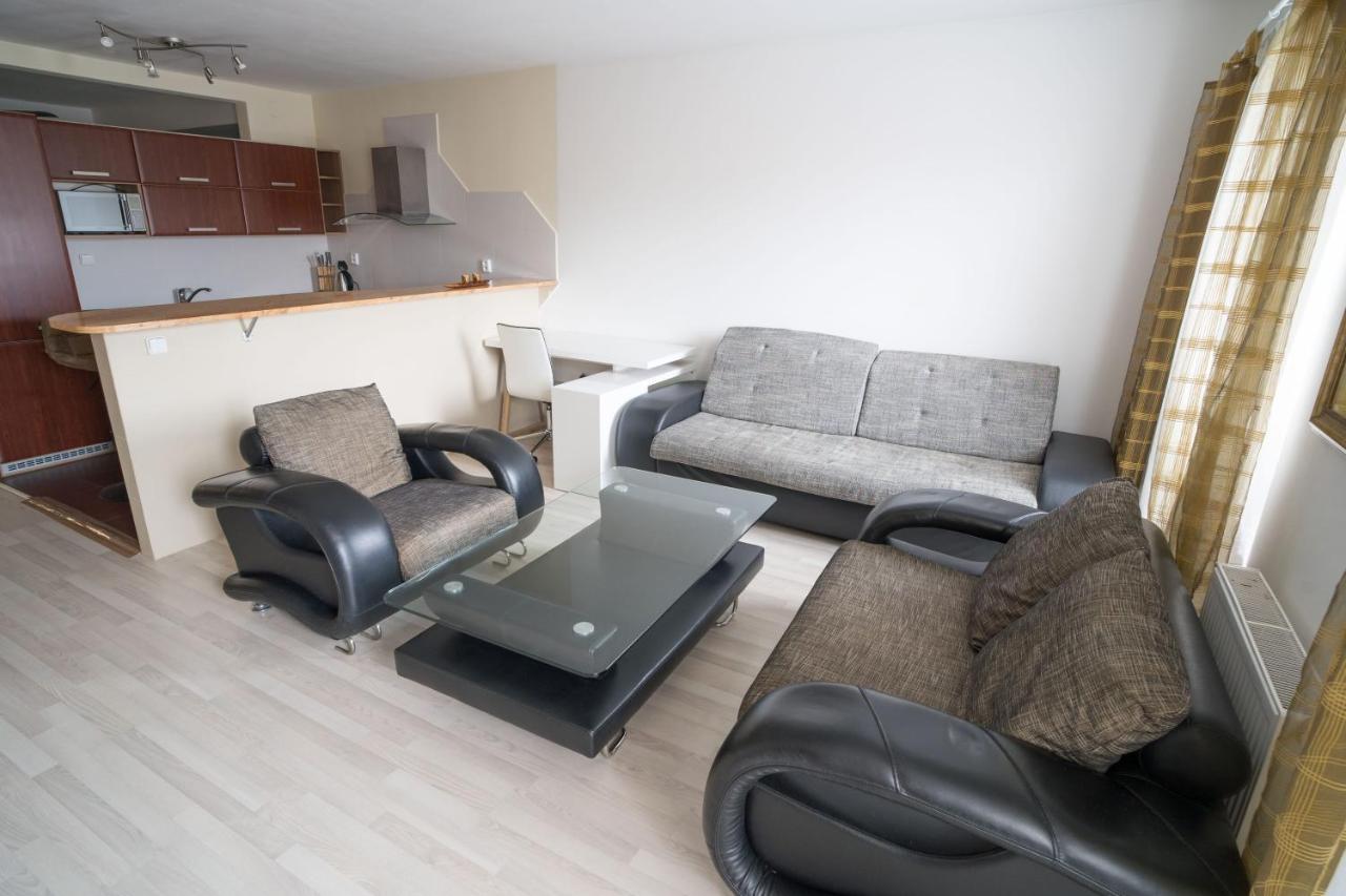 Apartment Vodni With Parking 布尔诺 外观 照片