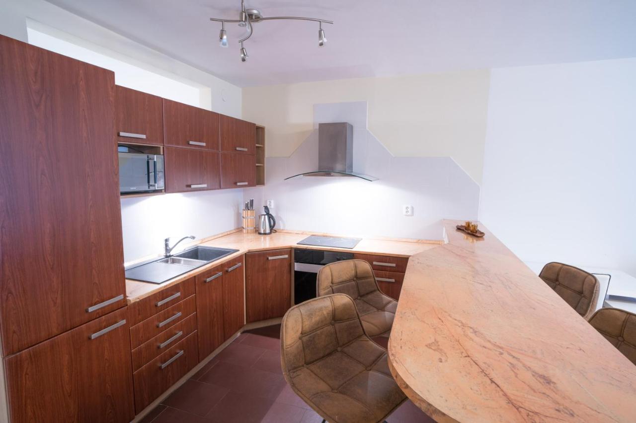 Apartment Vodni With Parking 布尔诺 外观 照片