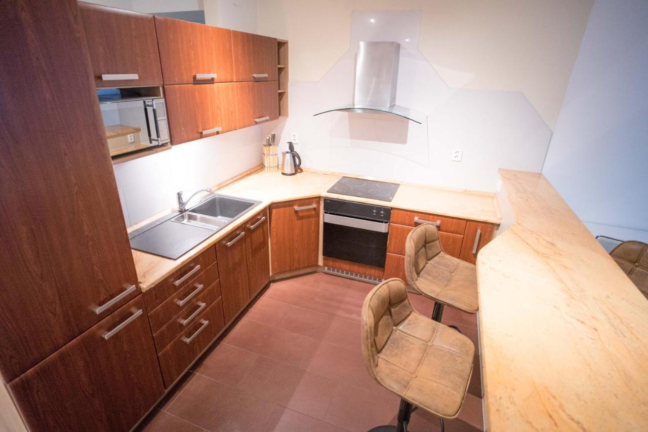 Apartment Vodni With Parking 布尔诺 外观 照片