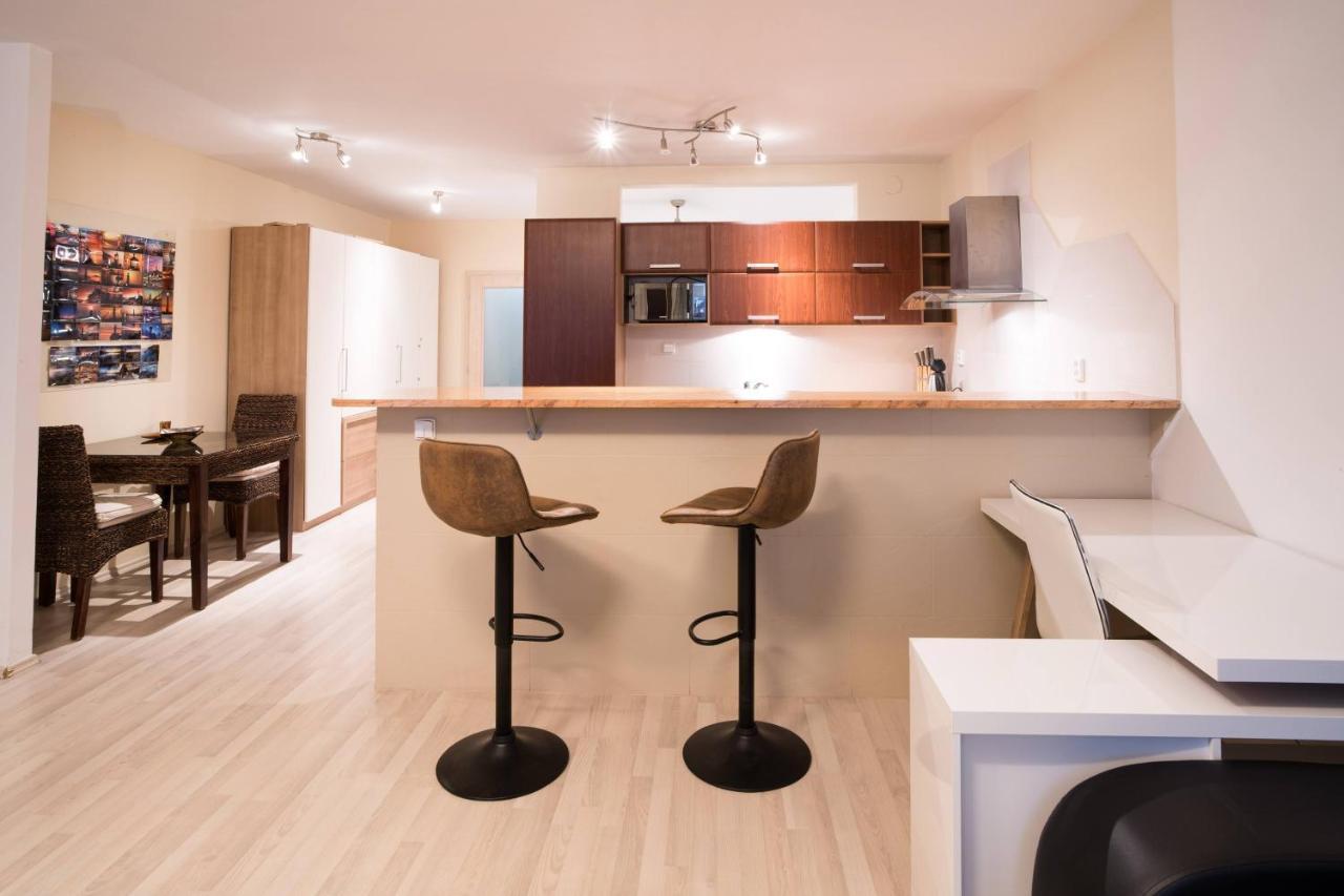 Apartment Vodni With Parking 布尔诺 外观 照片