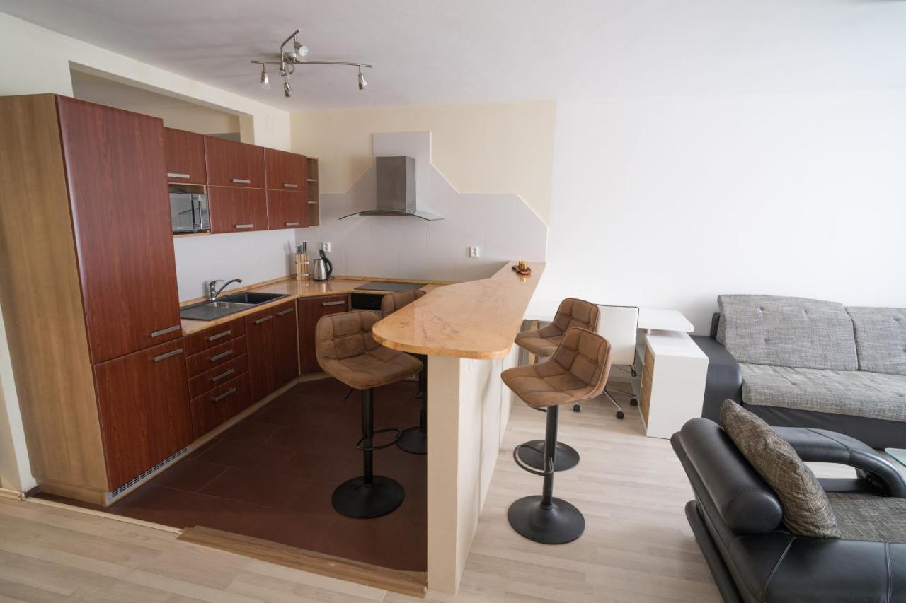 Apartment Vodni With Parking 布尔诺 外观 照片