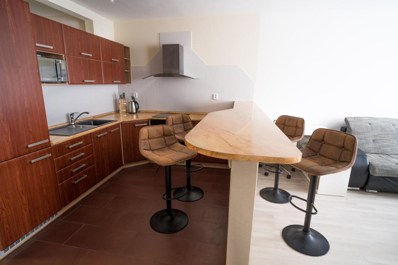 Apartment Vodni With Parking 布尔诺 外观 照片
