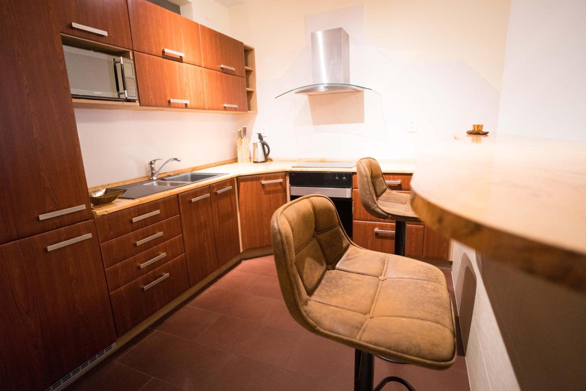 Apartment Vodni With Parking 布尔诺 外观 照片